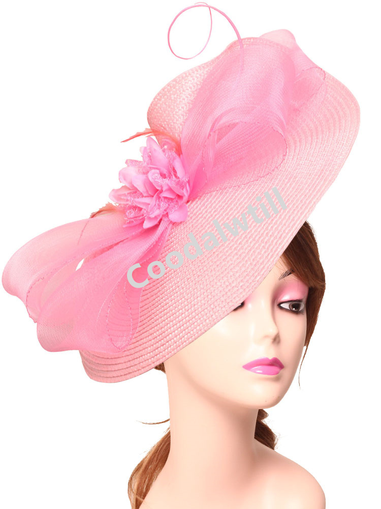 Elegant Tea Party Fascinator P - Women'S Fashion Kentucky Derby recension och pris
