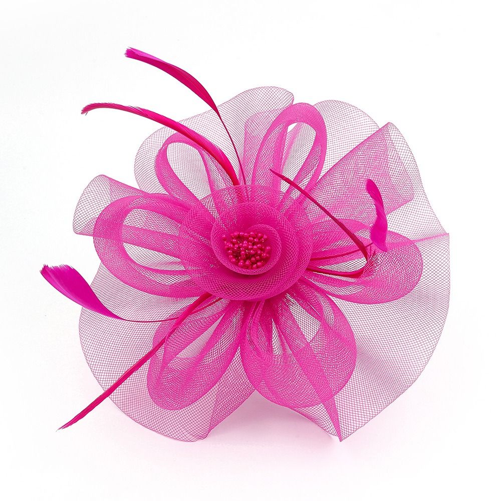 Feathers Ribbon Fascinator Hat - Women'S Fashion Kentucky Derby recension och pris